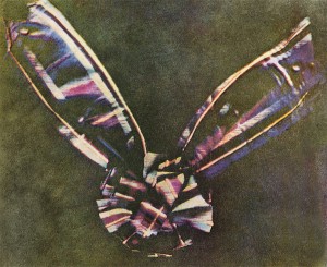 نخستین عکس رنگی در تاریخ که از یک رویان که در سال ۱۸۶۱ توسط جیمز کلرک ماکسول عکسبرداری شده.