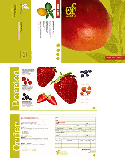 catalog-brochure  (5)